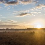 [お試し]　はじめの一歩動画一覧